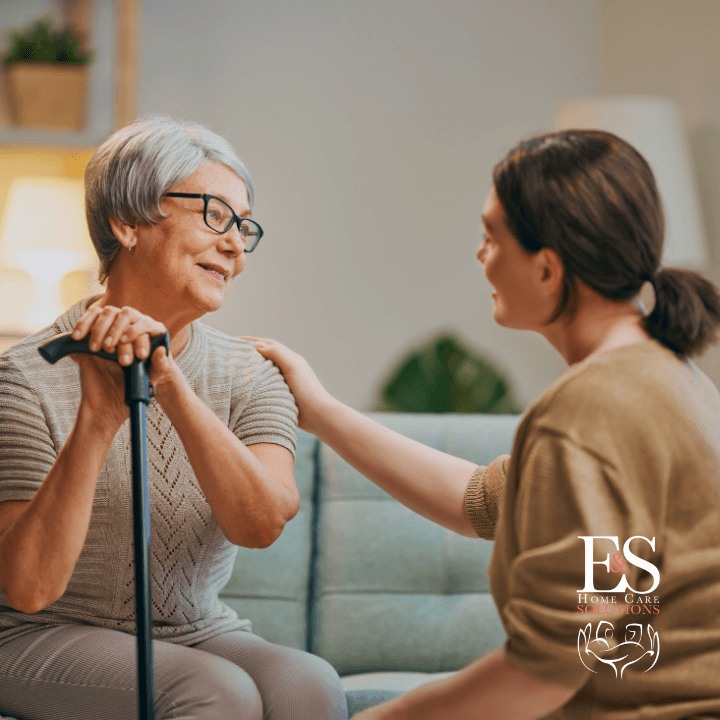 E & S Home Care Solutions