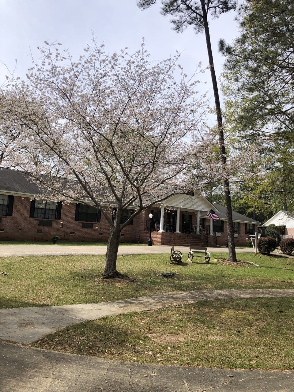 Greensprings Assisted Living