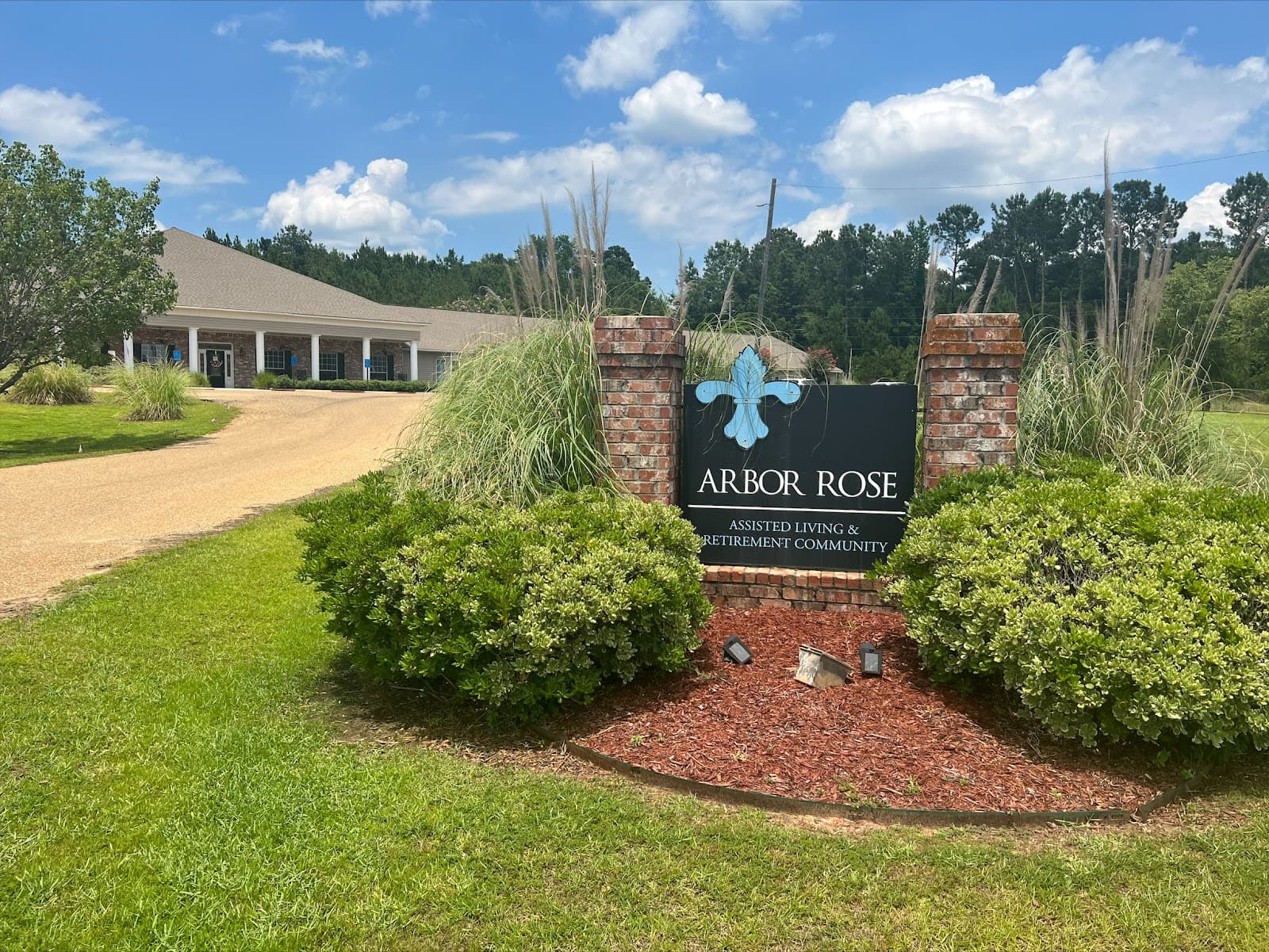 Arbor Rose