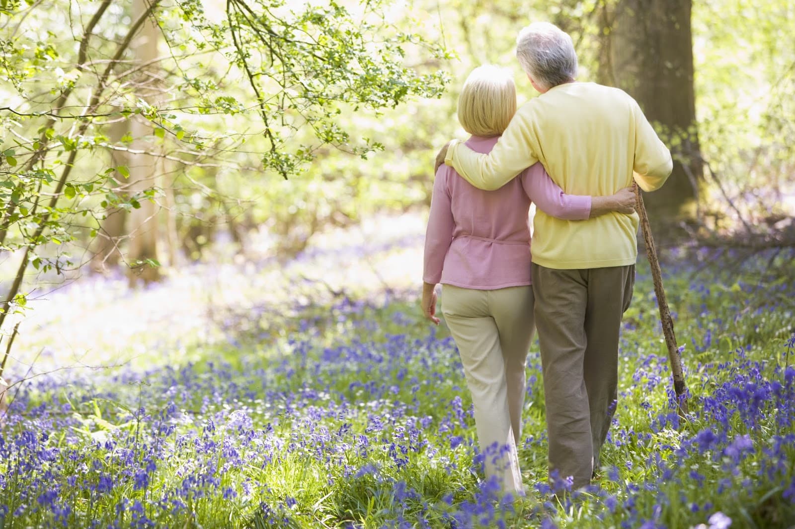 Arizona Premier Home Care LLC