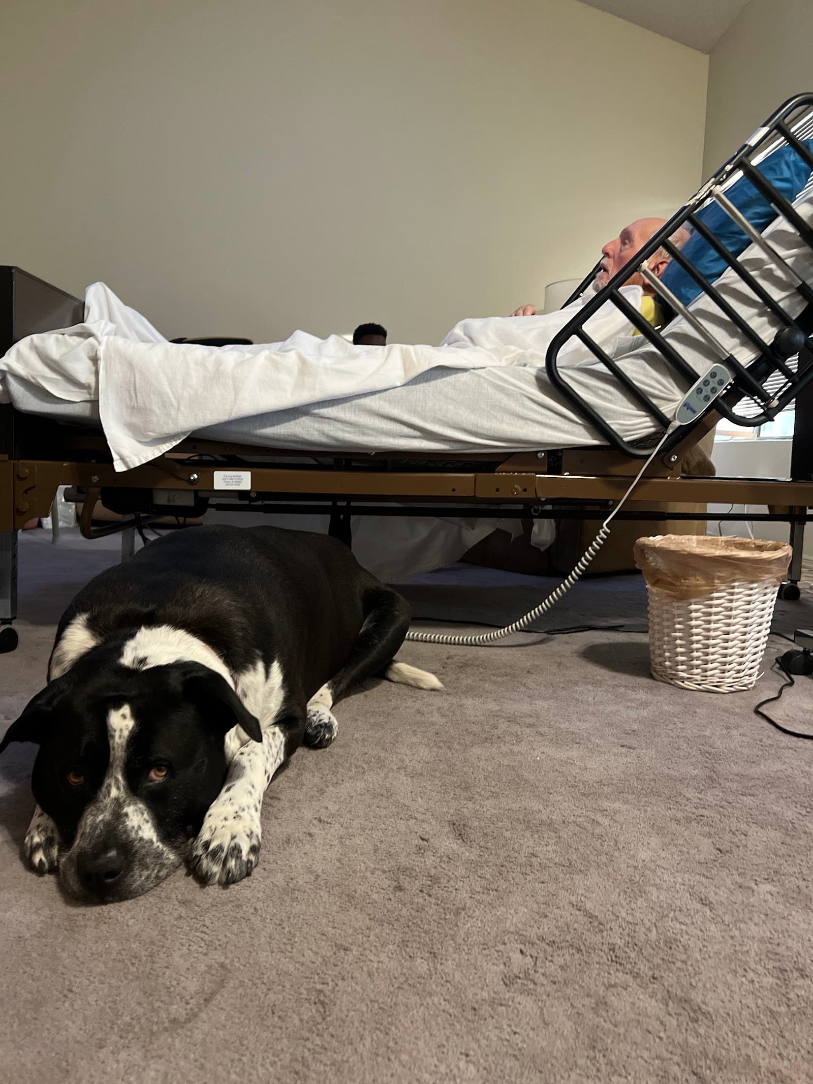 FirstLight Home Care of the Northwest Valley