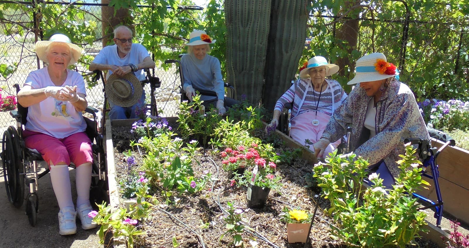 Saguaro Ranch Luxury Assisted Living, LLC