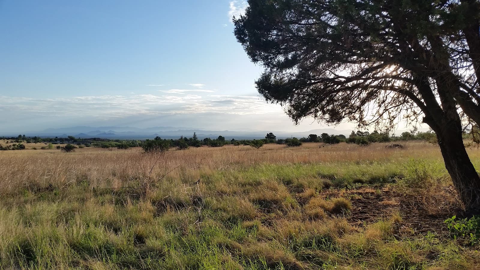 Golden Oaks Canyon