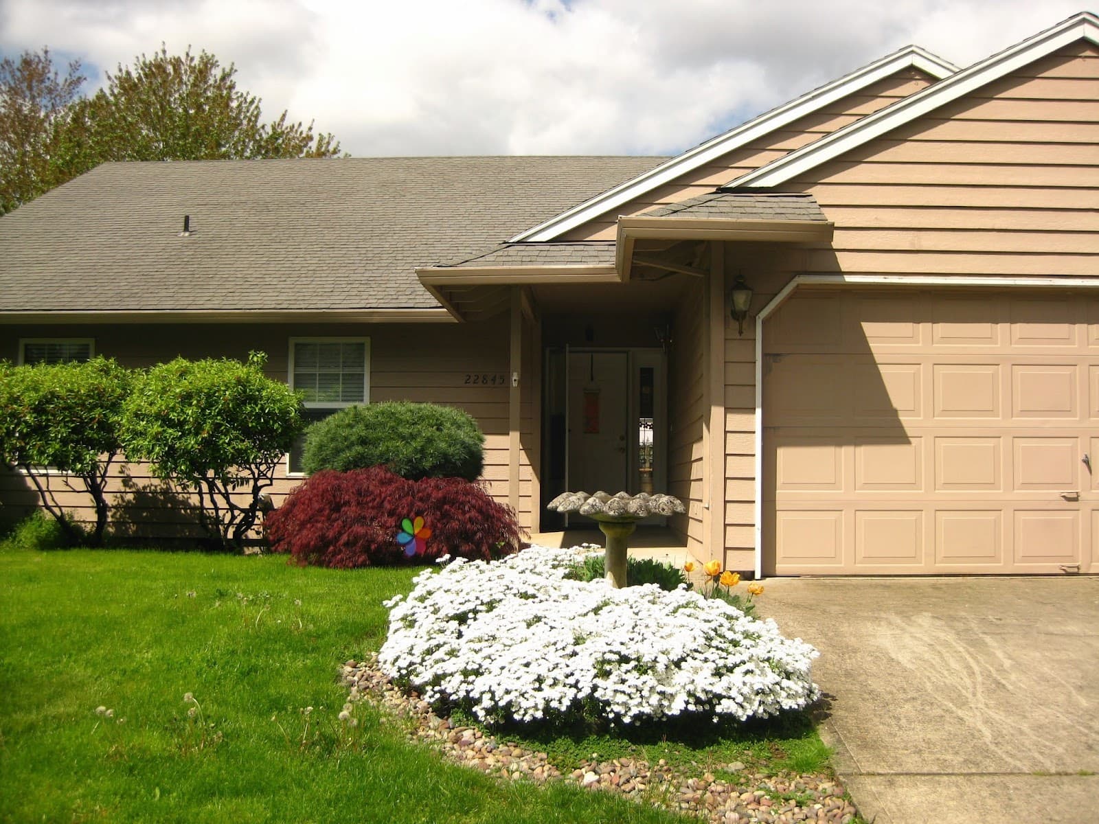 Sofia's Home Adult Care