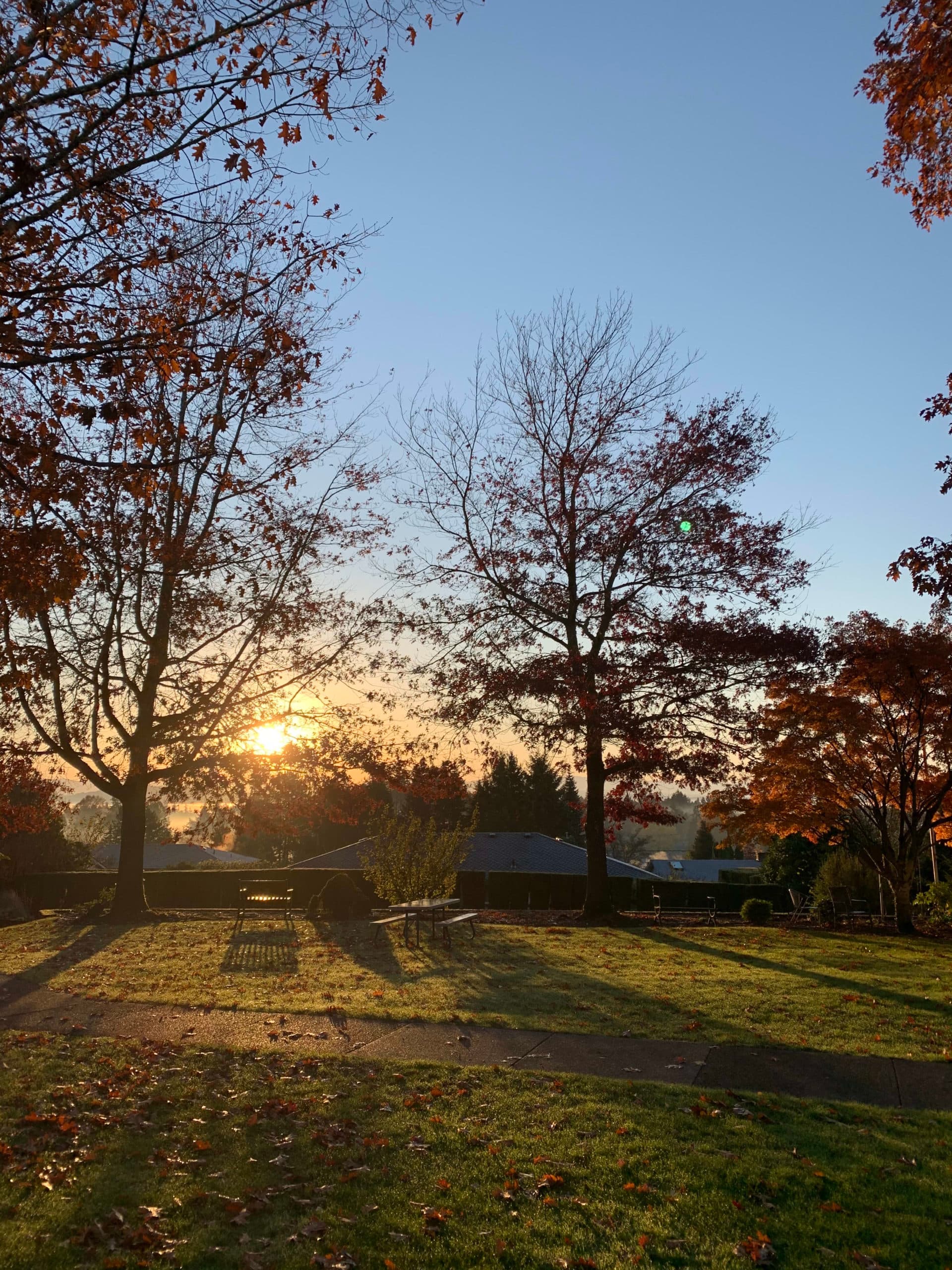 Elite Care Oatfield Estates