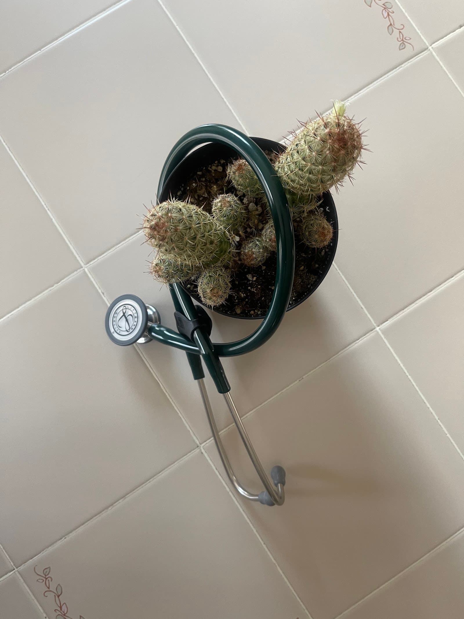 JAS Health Care Services