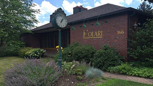 MOLARI Employment and HealthCare Services