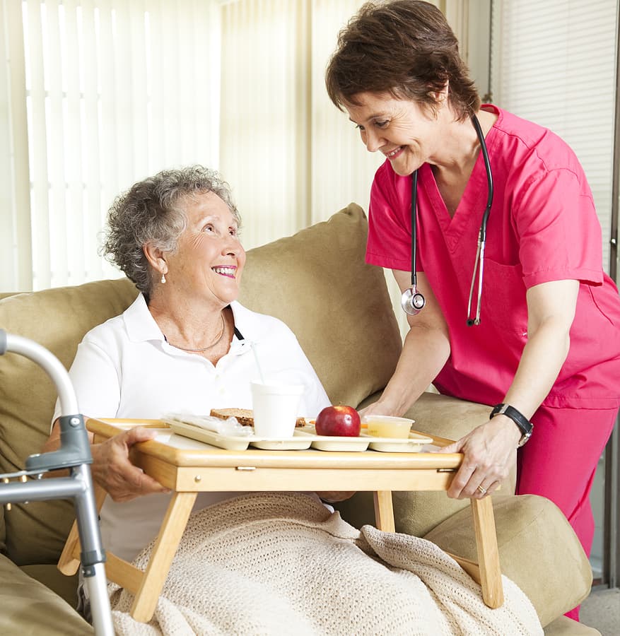 Premium Home Aids and Companions Services