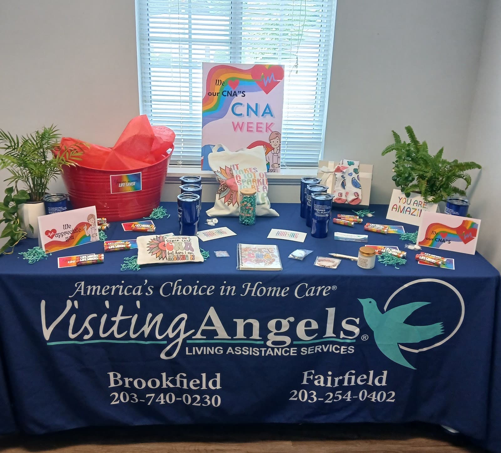 Visiting Angels Senior Home Care