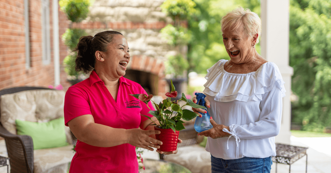 Assistance Home Care