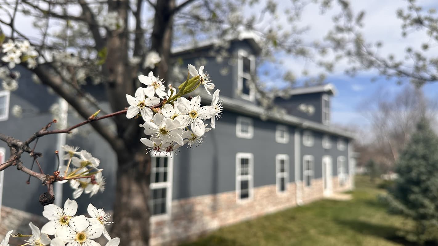 BeeHive Homes of Grain Valley