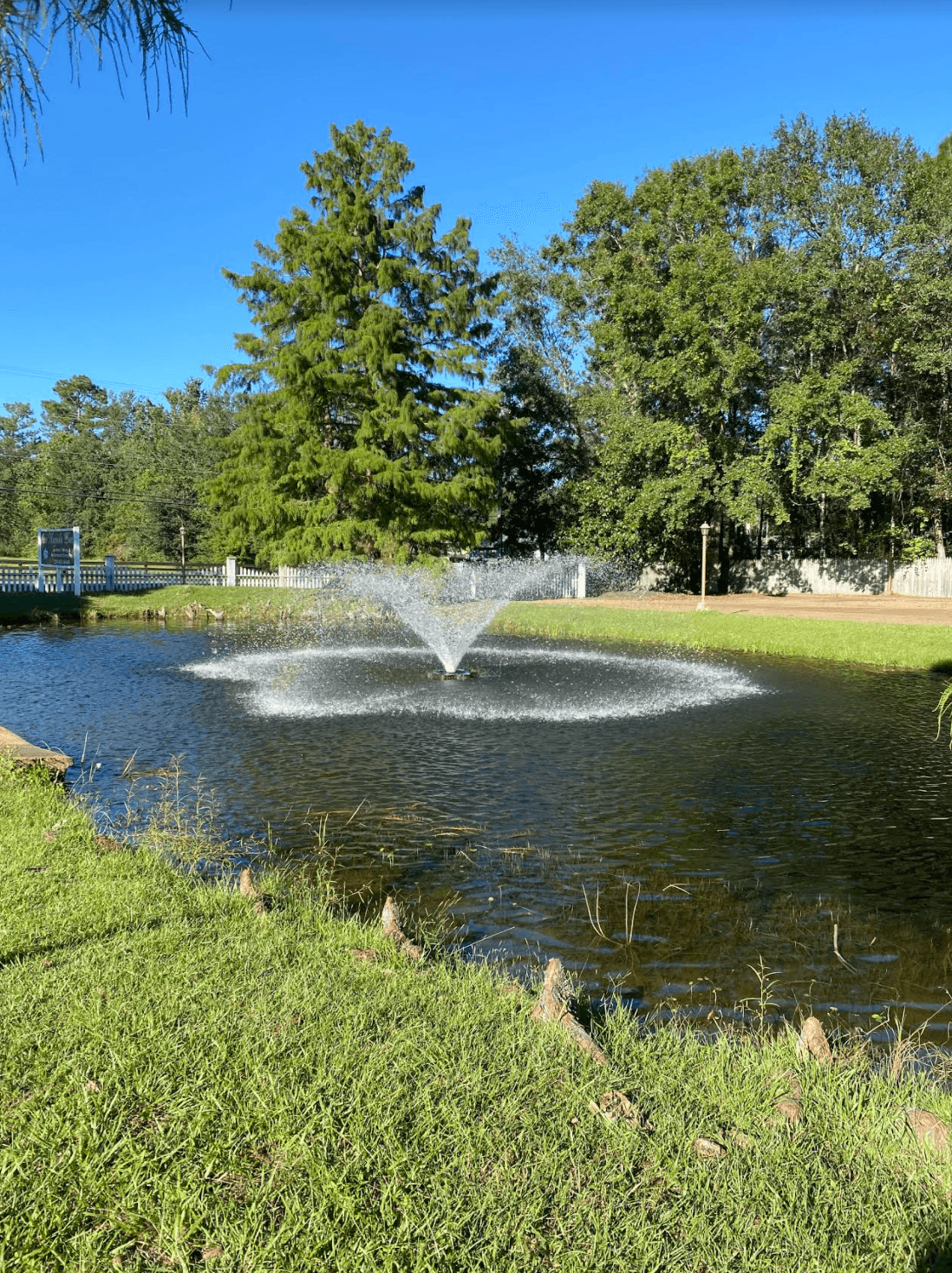 One Magnolia Place