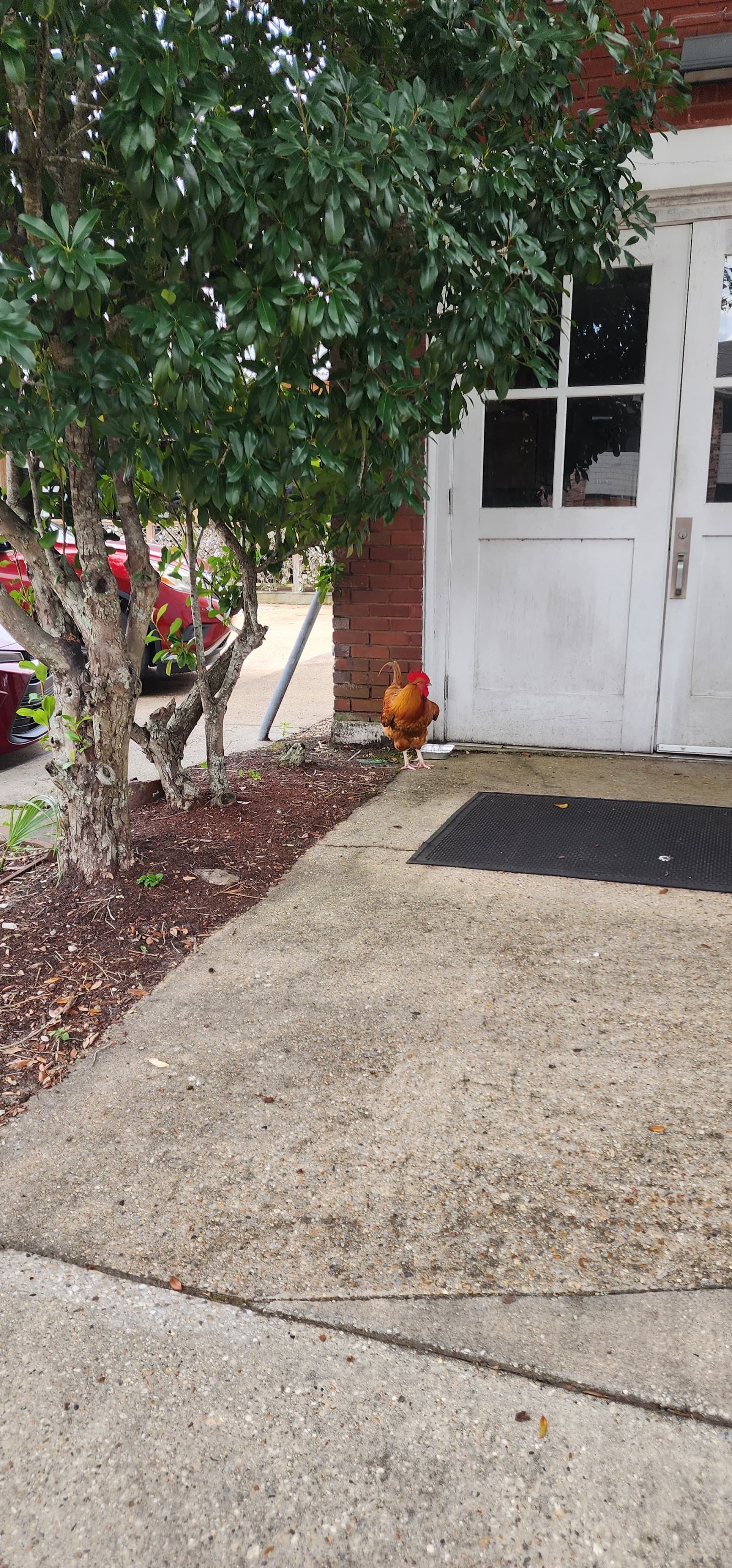 Ocean Springs Senior Center