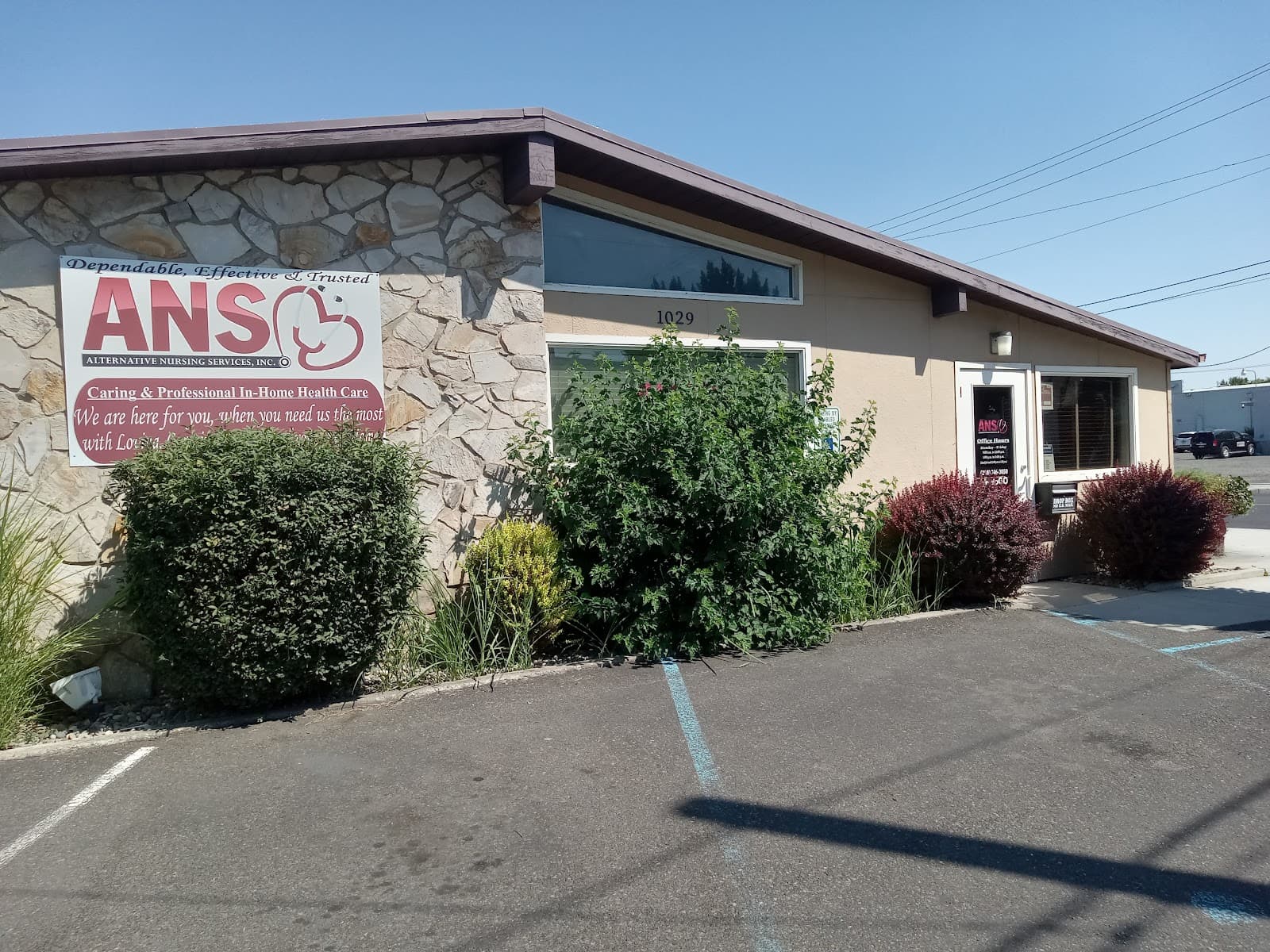 Alternative Nursing Services, Inc.