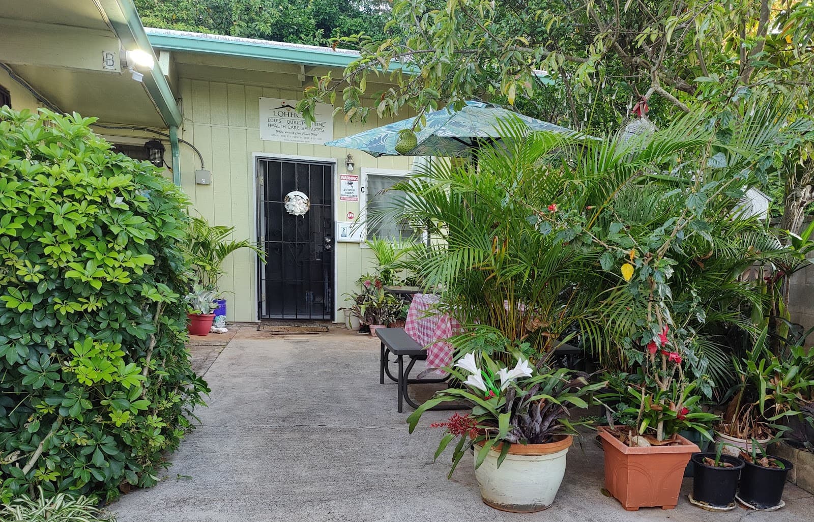 Lou's Quality Home Health Care Services
