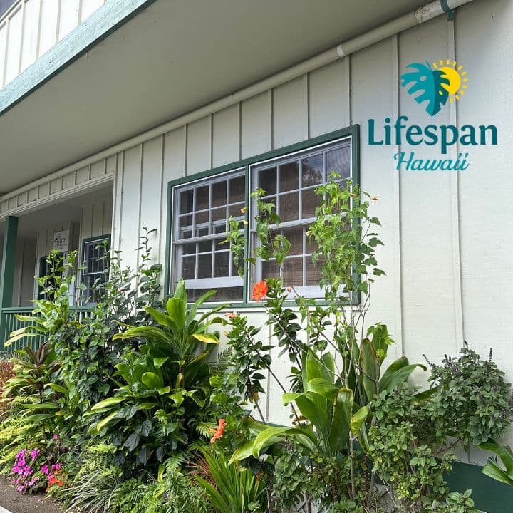Lifespan