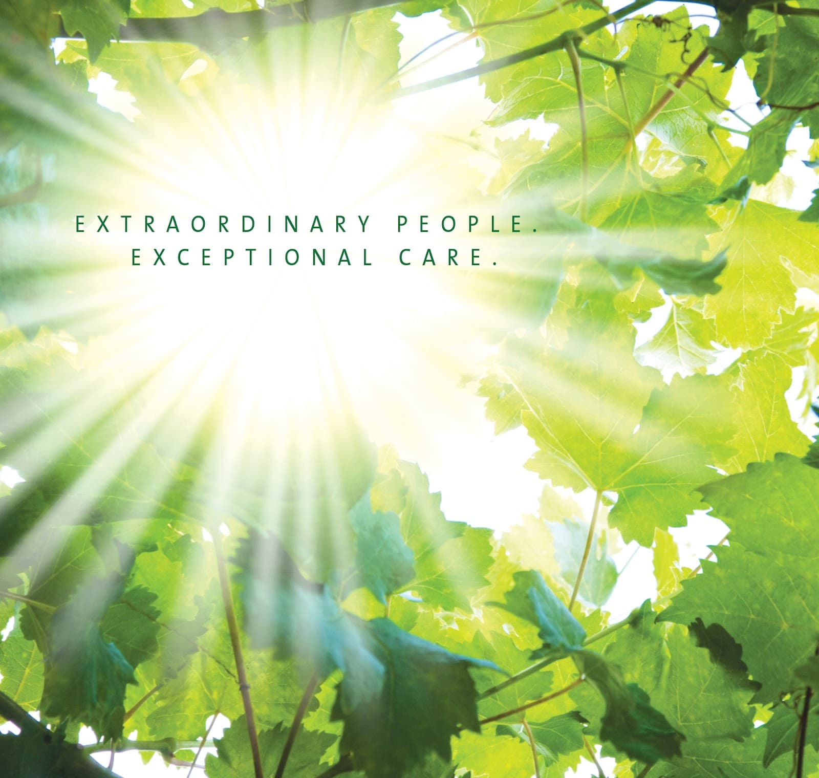 FirstLight Home Care of Southern Maine