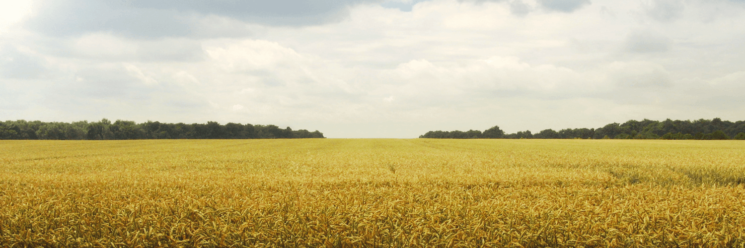 Harvest Home Care