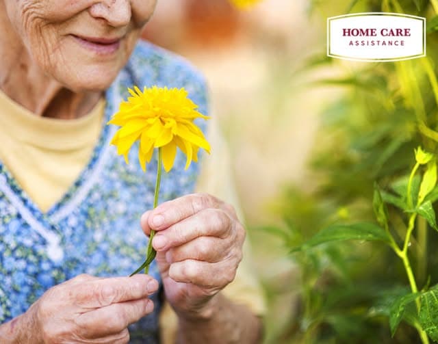 Home Care Assistance of Greater Burlington