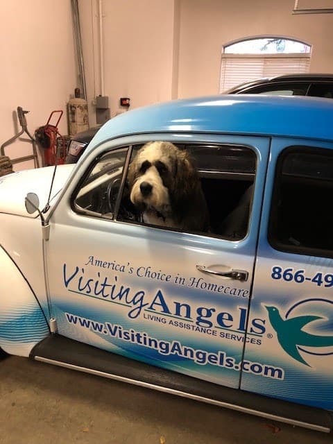 Visiting Angels Carson City, photo 1