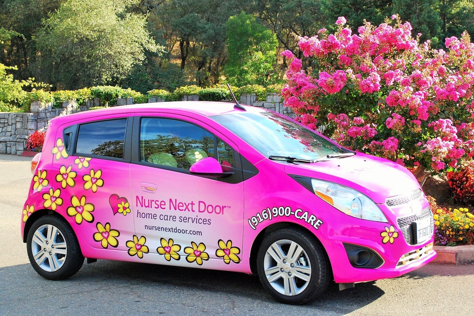 Nurse Next Door, photo 1