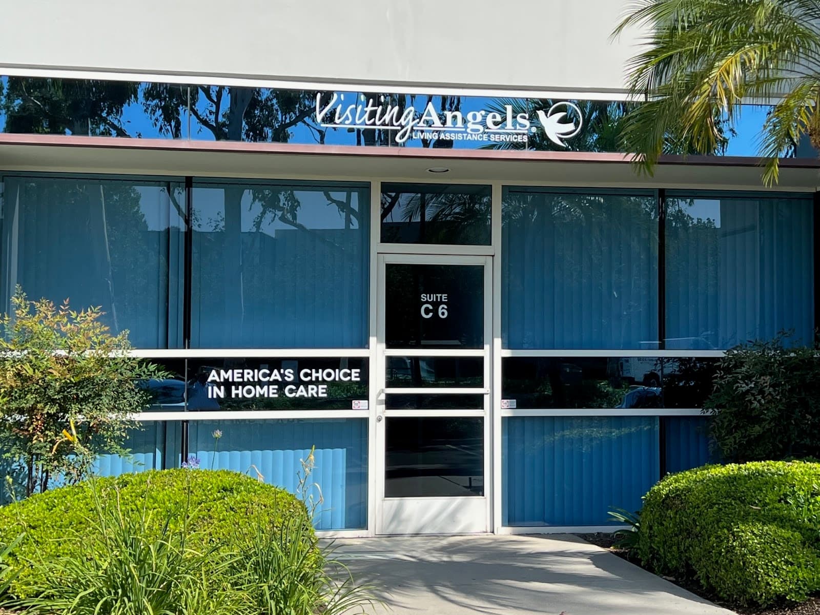 Visiting Angels Irvine