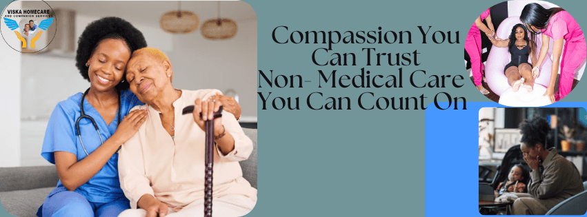 Viska Homecare And Companion Services