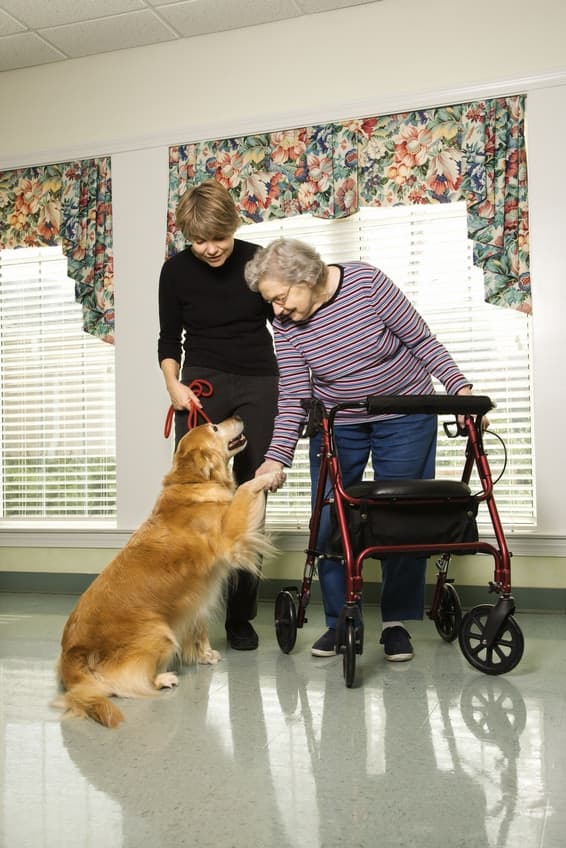 Kellah Home Care