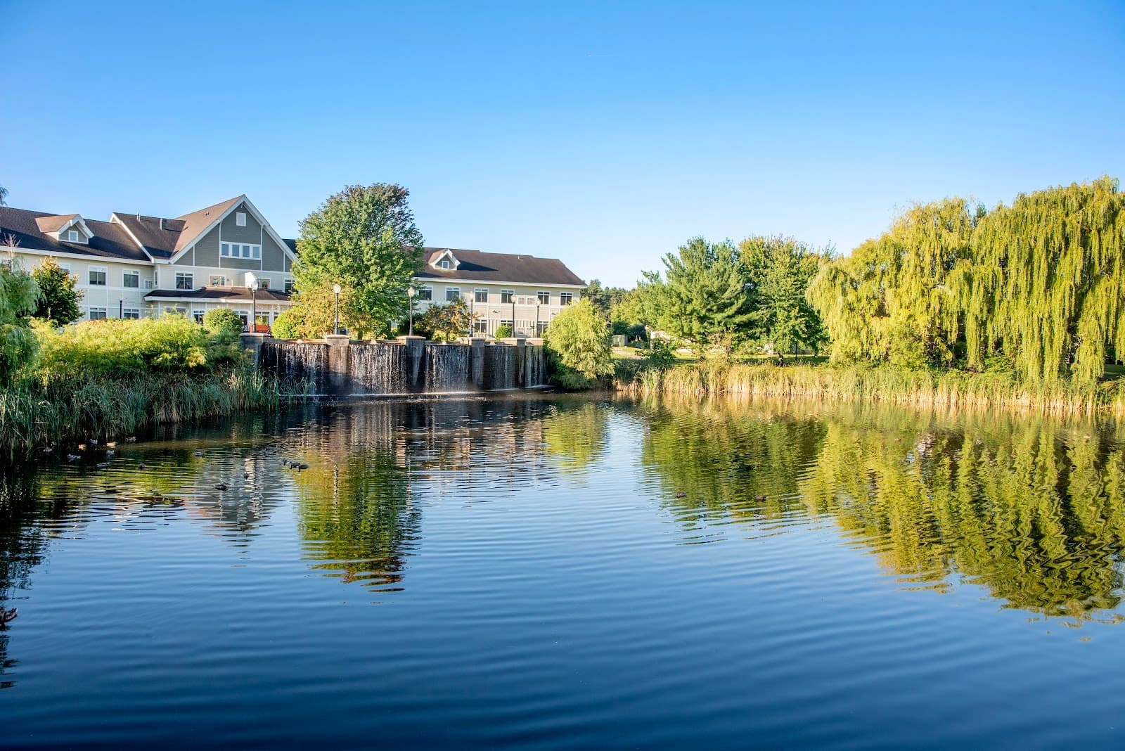 Comforts of Home Memory Care - The Gardens