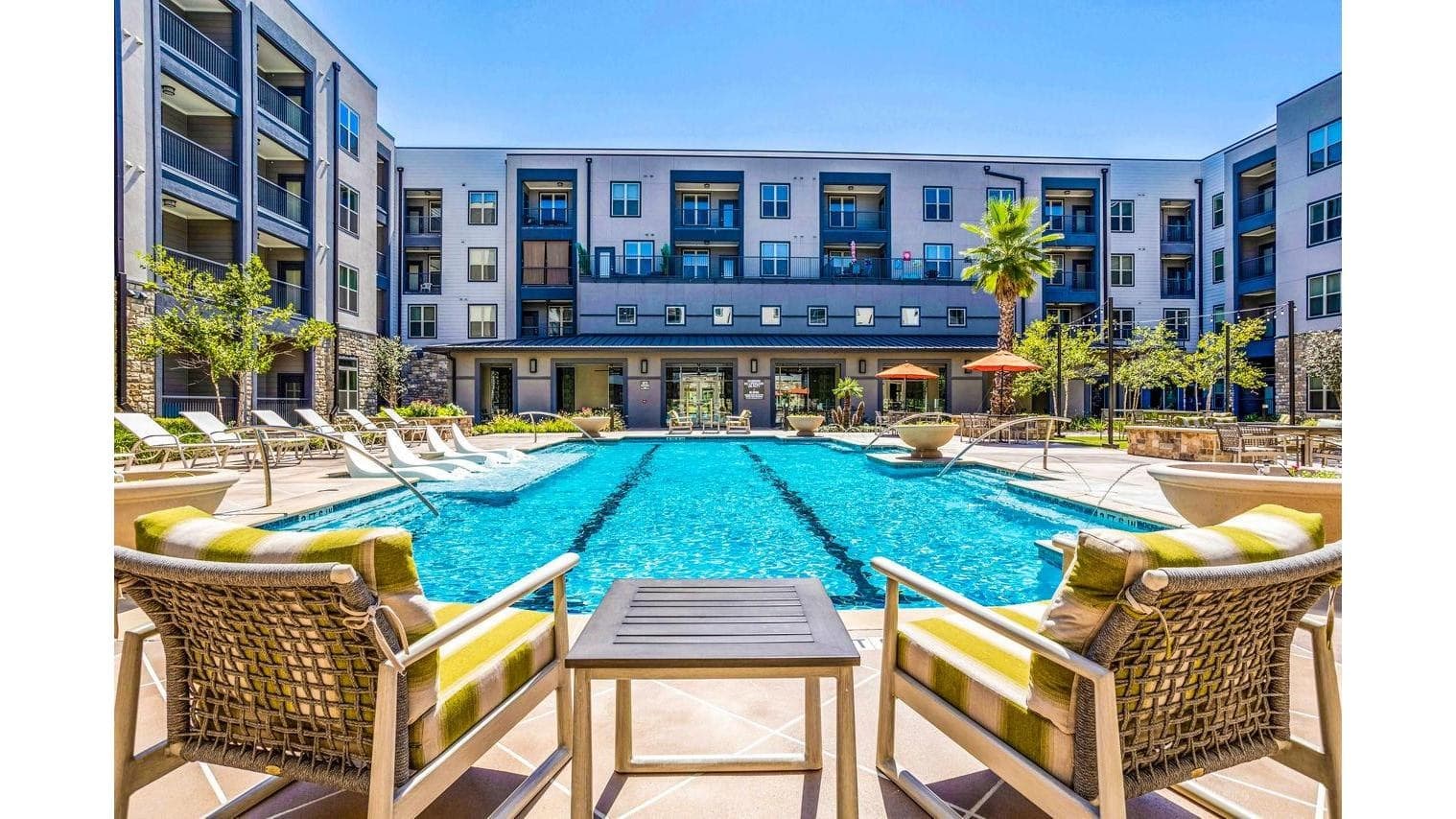 Larkspur at Shadow Creek