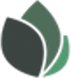 Lindsey Life Home Care logo