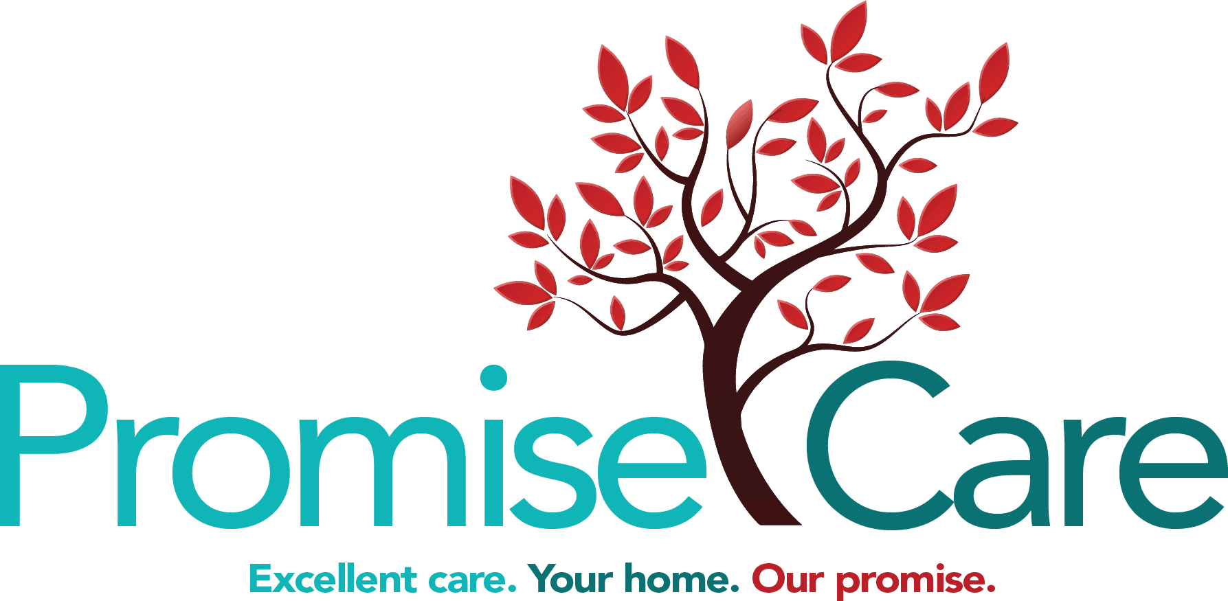 Promise Care Nj logo