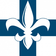 Long Term Solutions logo