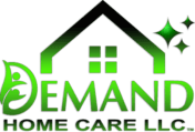 Demand Home Care logo