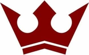 Camelot Home Health Care LLC logo