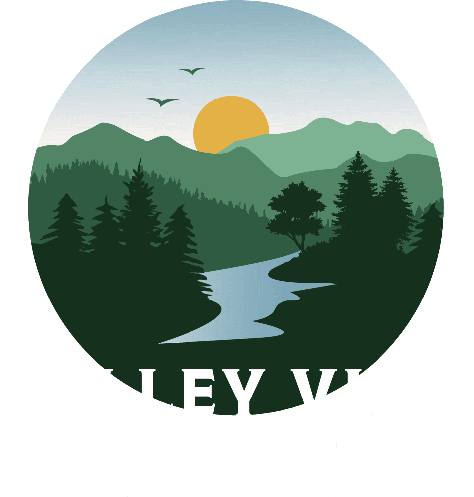 Valley View Healthcare Services logo