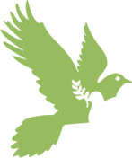 Salmon Valley Hospice and Home Health logo