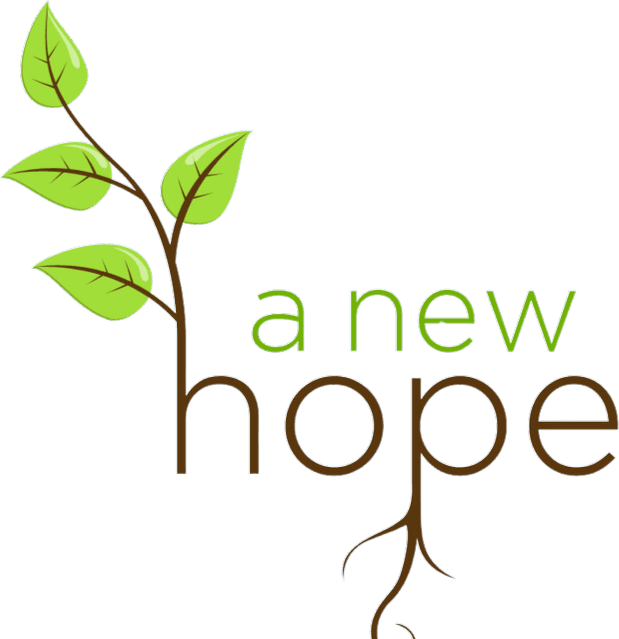 New Hope Health Solutions logo