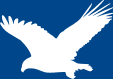 Tender Home Care Providers, LLC logo