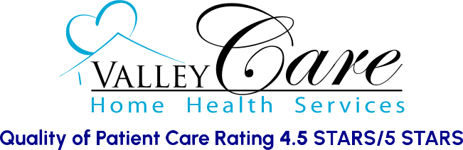 Valley Care Home Health Services logo