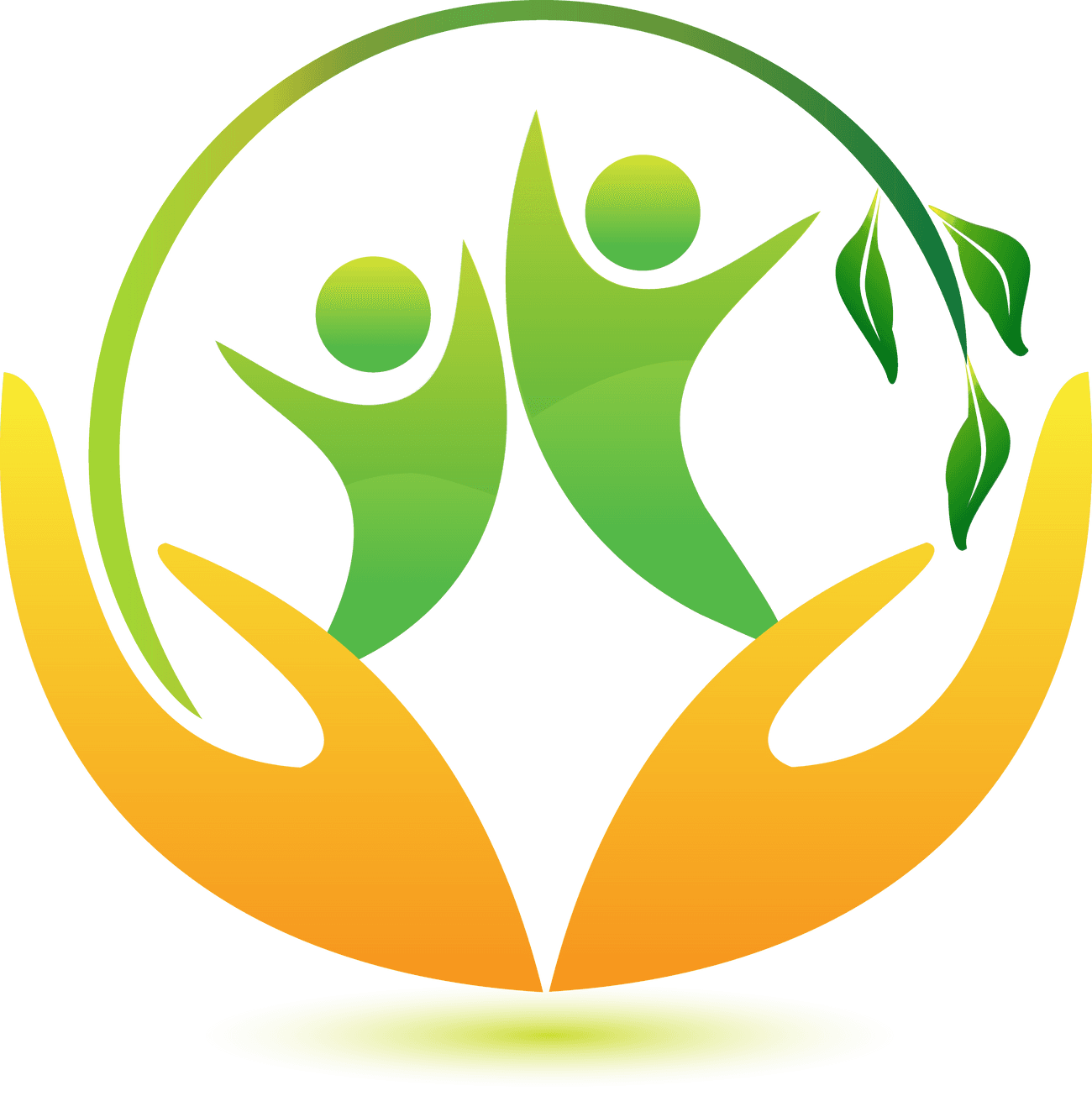 DivineTouch Home Health Care, LLC