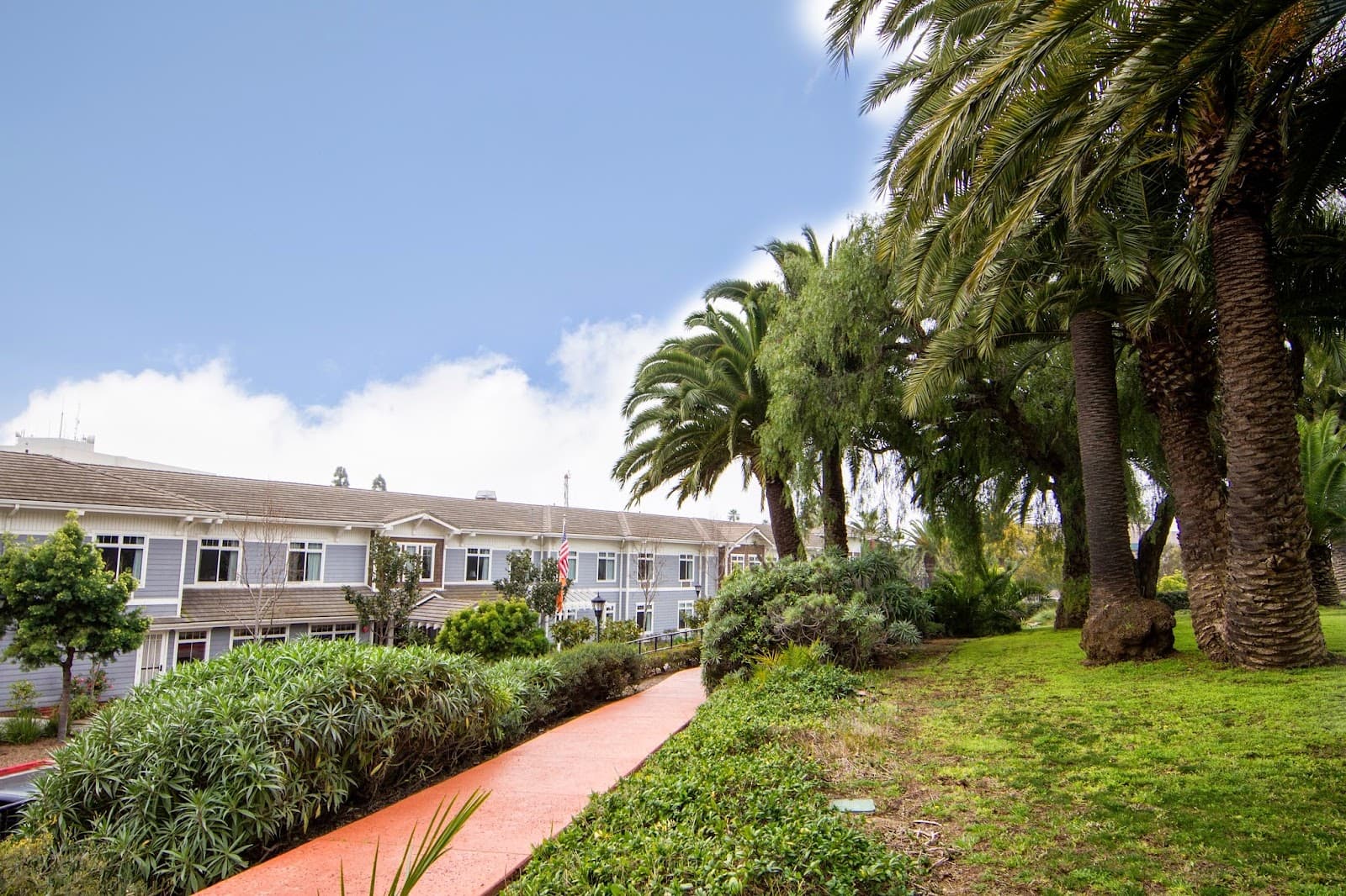 Ivy Park at Huntington Beach — photo 1