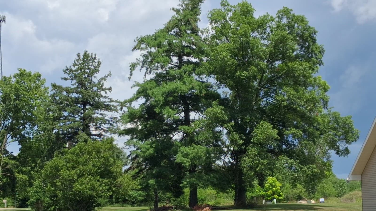 Vancrest of New Carlisle