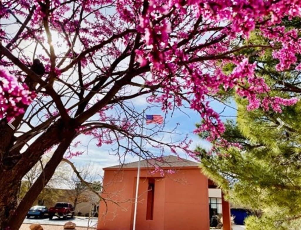 Desert Springs Health Care LLC
