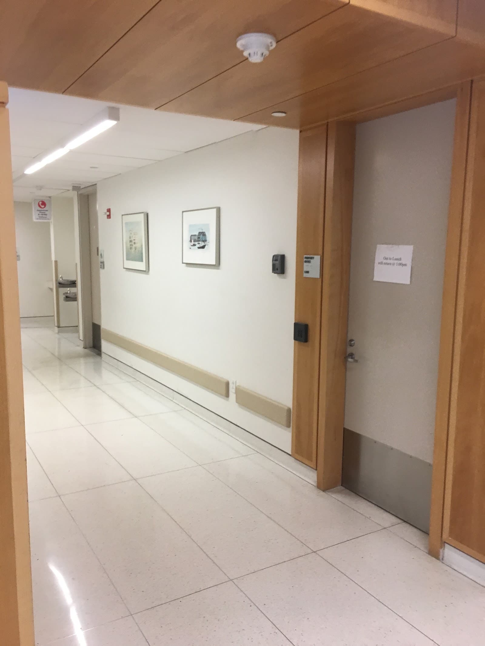 New Gouverneur Hospital S N F