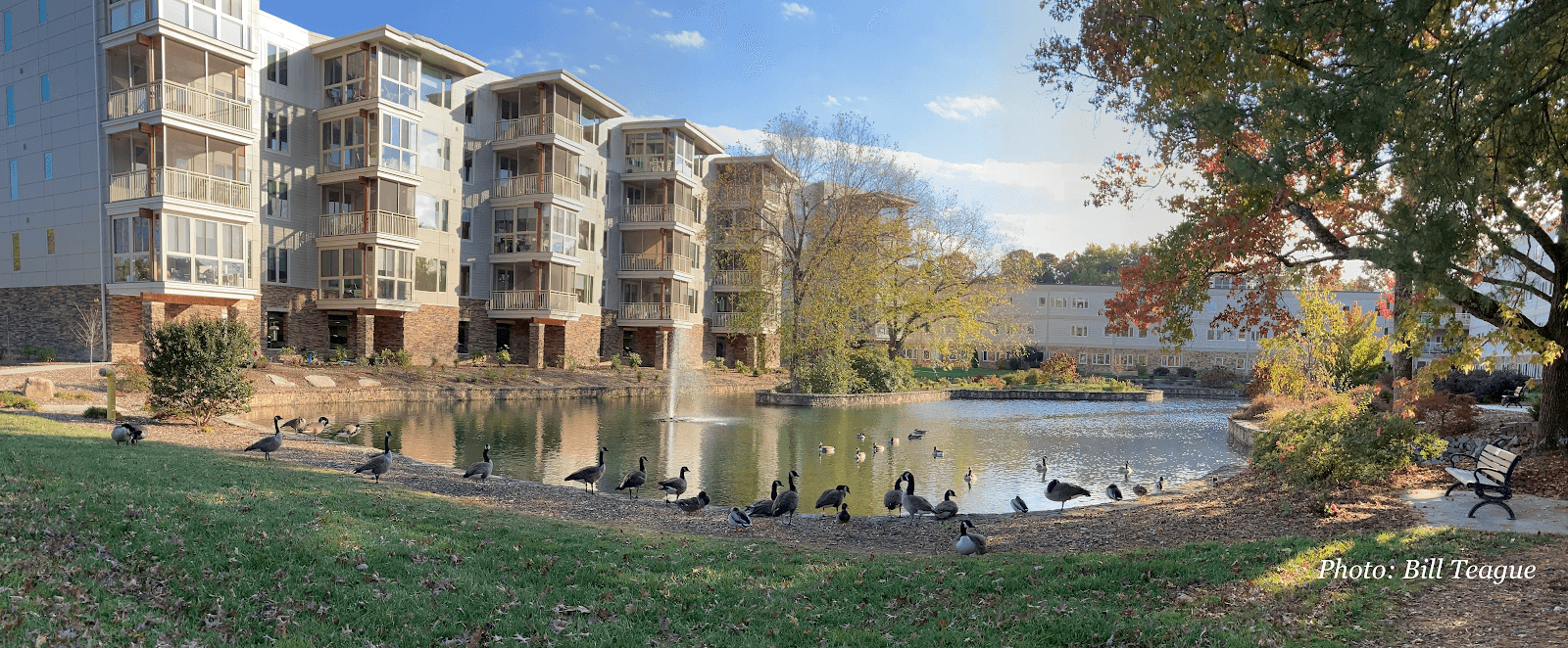 Carolina Village Inc