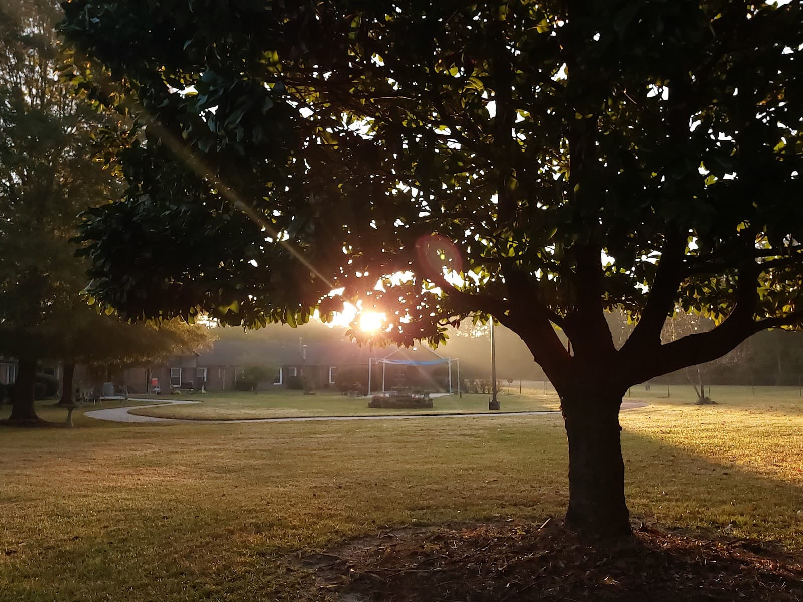 Grantsbrook Nursing And Rehabilitation Center