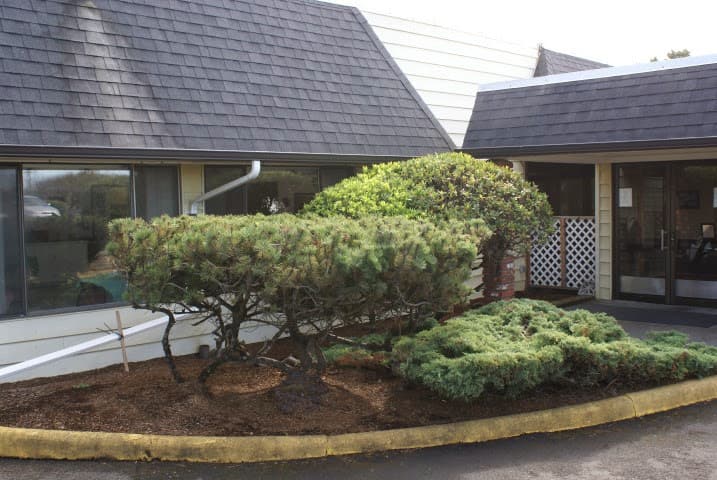 Avamere Rehabilitation Of Newport