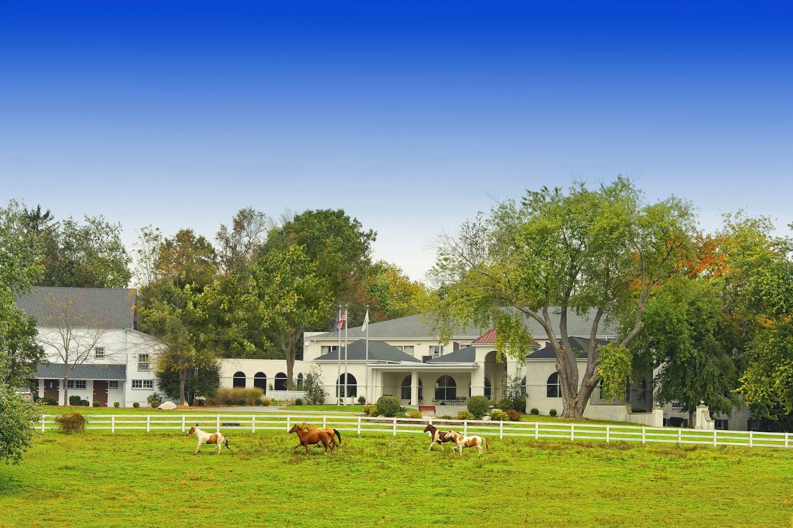 Newport Meadows Health And Rehabilitation Center