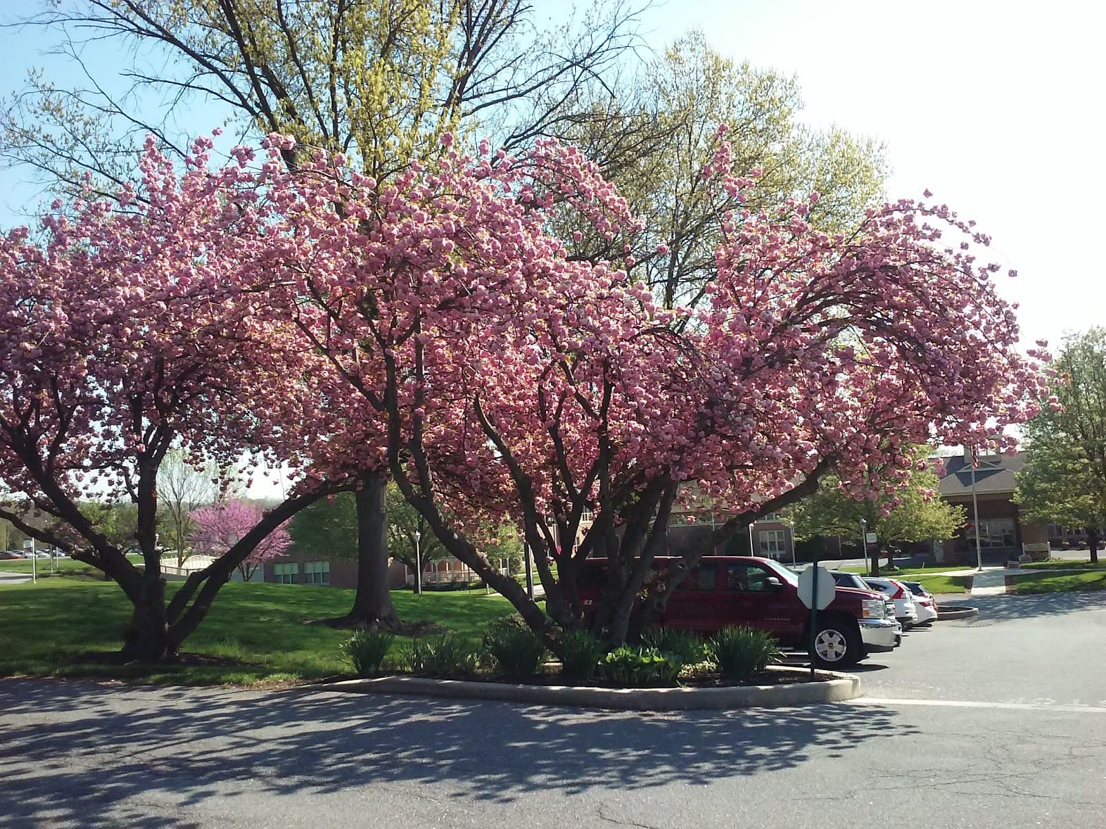 St Anne'S Retirement Community